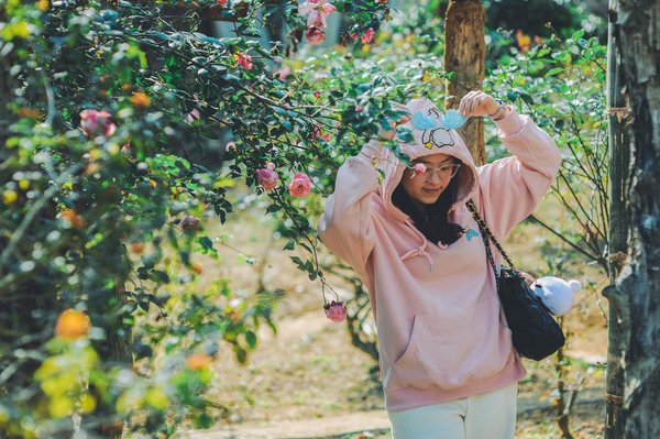 Panneau solaire photovoltaïque : la satisfaction des clients décryptée