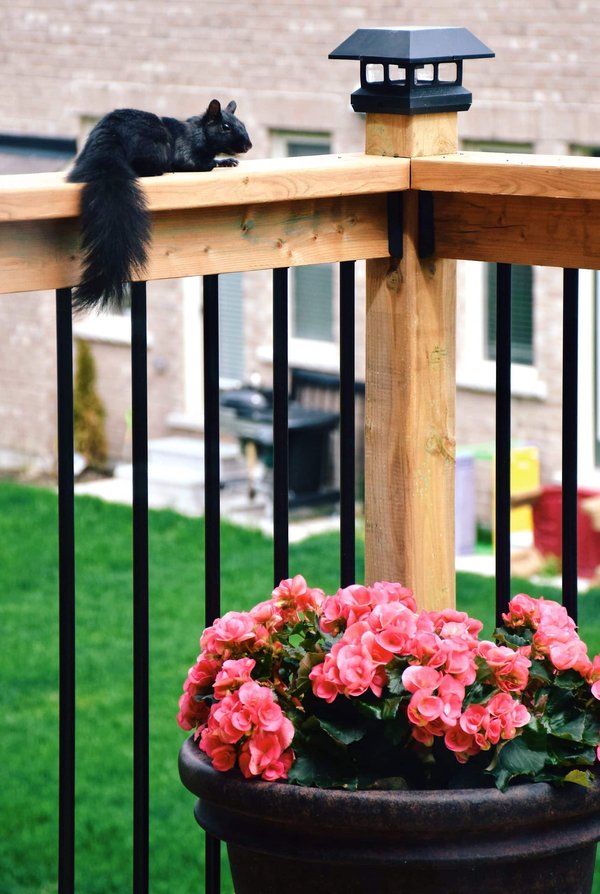 Optimiser votre budget sans compromettre la qualité du garde-corps